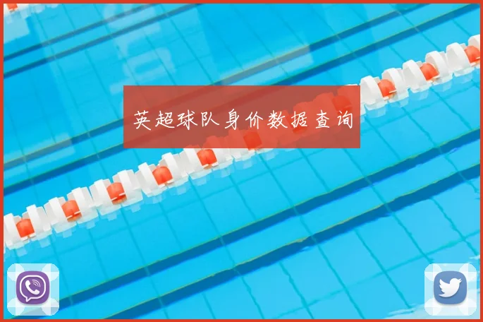 英超球队身价数据查询